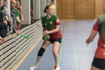 Bild 226 - F HSG Kremperheide/Muensterdorf - HSG Holstein Kiel/Kronshagen : Ergebnis: 31:26